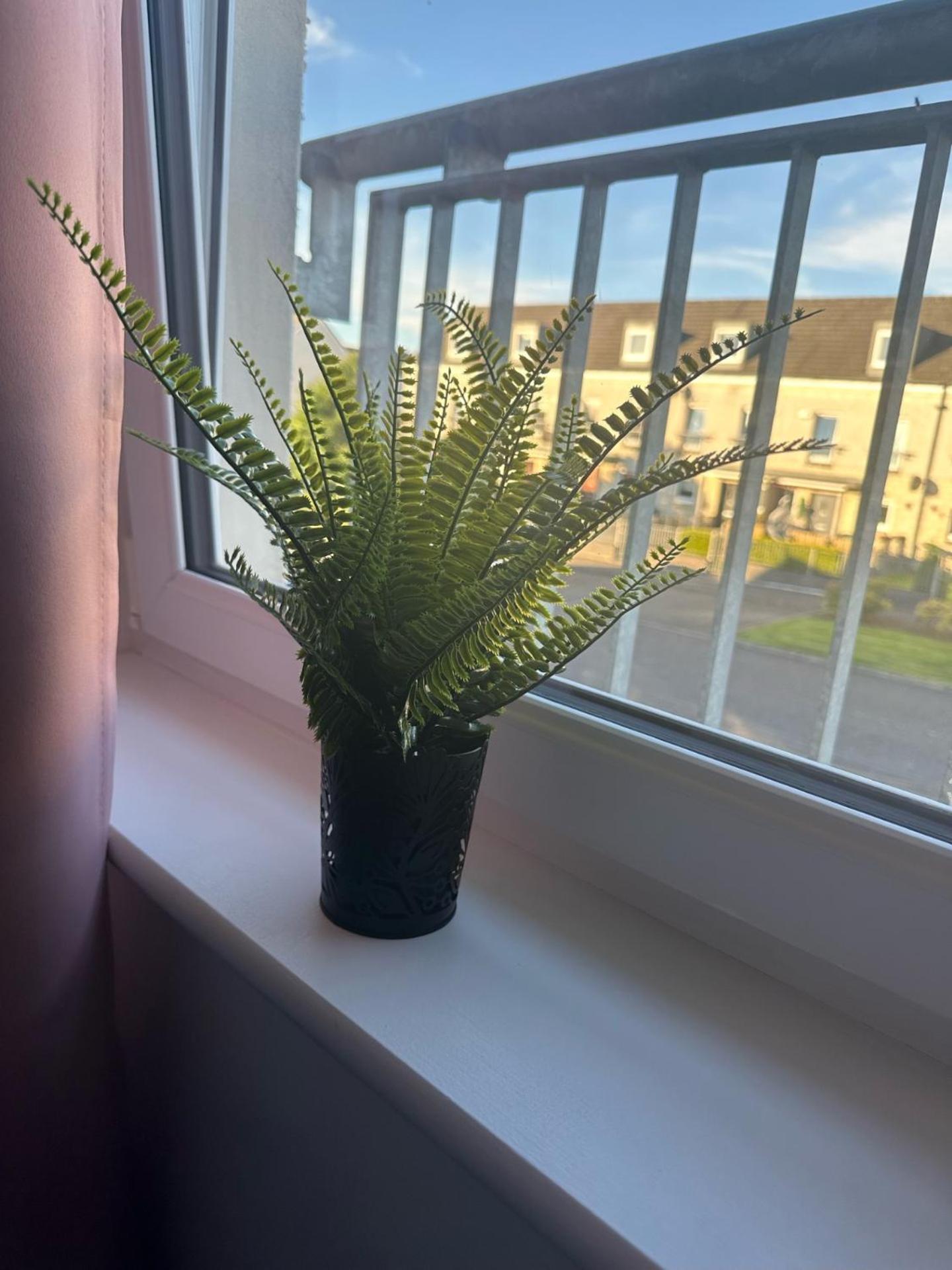 Appartement Black Daisy
