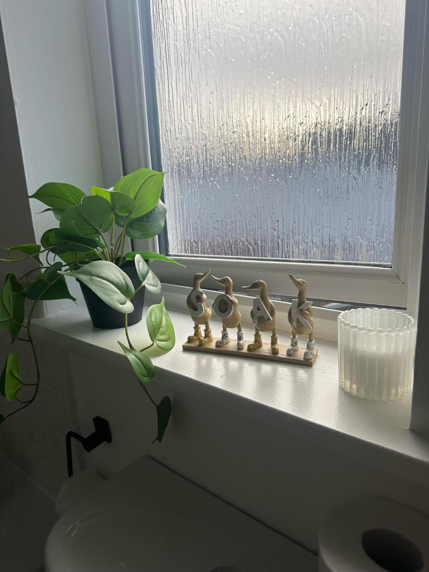 Black Daisy Appartement *