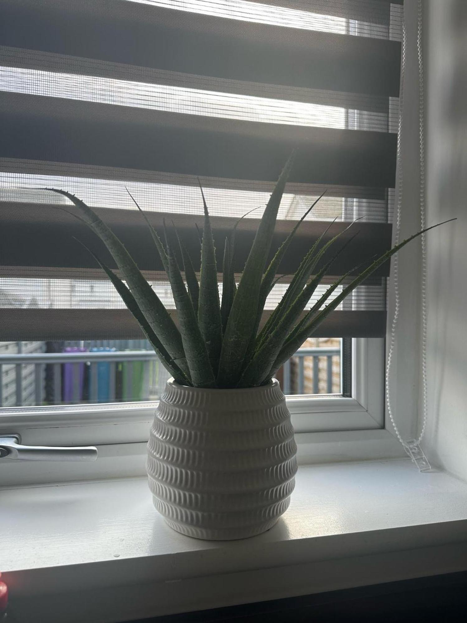 Appartement Black Daisy Glasgow